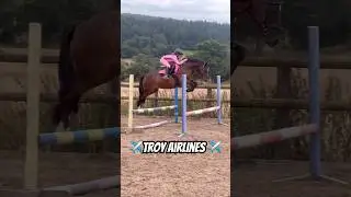 Troy is clear for Take off ✈️ #horse #equestrian #horsegirl #ponies #pony #horsemanship #showjumping