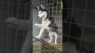 дай, дай и мне посмотреть, что там?