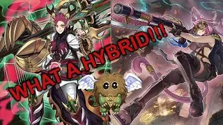 My Favourite Zoodiac - Tri-Brigade Deck for 2021 (Post 2020 December Banlist)  Yugioh Profile