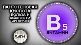 Пантотеновая кислота (Витамин B5). Польза и действие на организм.