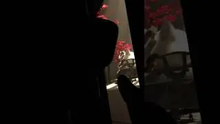 НЕЗАМЕТНО СНЯЛИ nyan.mp3