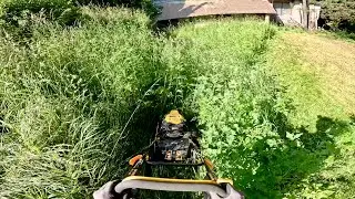 POV: Satisfying & Relaxing Lawn Mowing Tall Grass | GoPro ASMR
