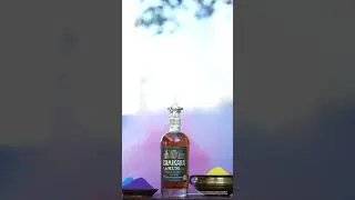 Splash into Holi with Camikara at your side!