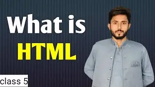HTML Essentials: Everything You Need to Know to Build a Website