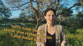 בואי.