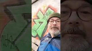 My first dog walk of 2024
