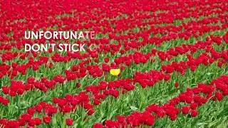 FLOWER LESSON FOR HIV CURE (SUPERCHARGER EDITION}