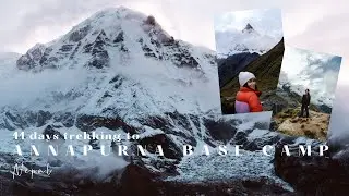 11 Days Trekking to Annapurna Base Camp with Intrepid Travel  - Teaser