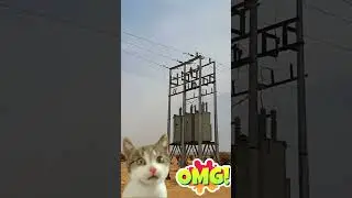 Respect⚡⚡⚡electric arc ⚡⚡⚡