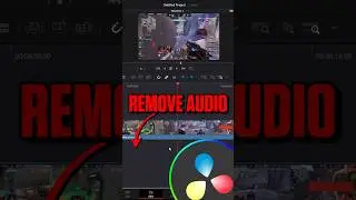 How to Remove Audio In Davinci Resolve Easily