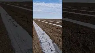 Температура под пленкой 🌱☀️🚜