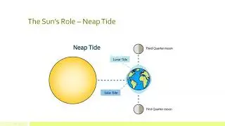 Tides