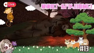【PLANET ZOO/LIVE配信】#13  今日こそ、最後の地のゴールド目標を達成します！ #vtuber