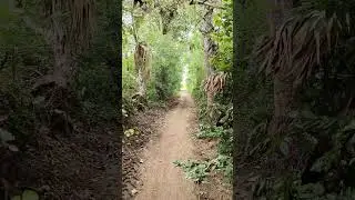 Nature Lovers 