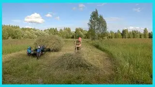 Нашел новые покосы, но сенокос замедлился! Деревенские будни июля!