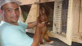 Откуда они у нас??? Новое имя для кроля!!!