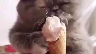 Вот такой вам жизни желаю!😙😙😙😙😙😙😇😇😇😇😇😇