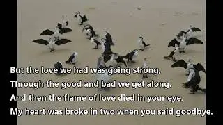 Anh Tuan - The Last waltz (Engelbert Humperdinck) (with lyrics)