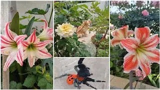 Олины Истории 🏜 Влог 