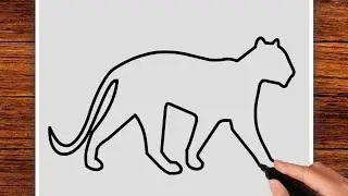 HOW TO DRAW TIGER - Drawing Tiger ❤️