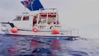 Cozumel - Diving with Pro Dive International Sept 2018