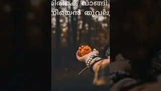 udayame nee ariyumo ✨️✨️💕💕🥀#song #trending