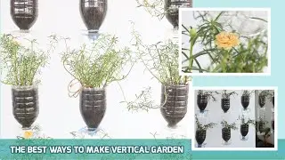 EPISODE 30 THE BEST WAYS TO MAKE VERTICAL GARDEN - GROWING MOSS ROSE USING PLASTIC BOTTLES