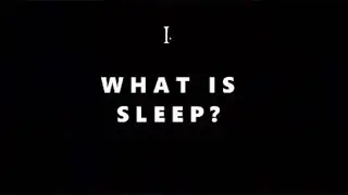 What on Earth is Sleep?
