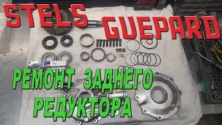 STELS  GUEPARD - Ремонт заднего редуктора