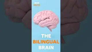 How bilingualism boosts your brain | BBC Ideas