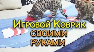 Игровой коврик для кошек. Делаем САМИ.