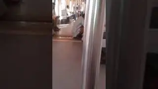 Pissing in metro train