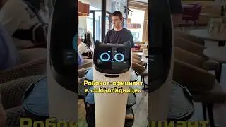 Робот-кот в «Шоколаднице» 