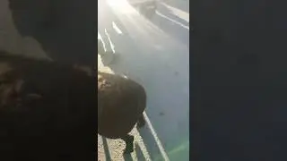 #куйбозор