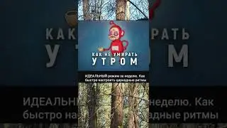 как высыпаться?