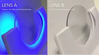 BluVue Glasses