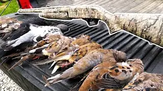 BLOCKETH OUTDOORS Dove Hunting!