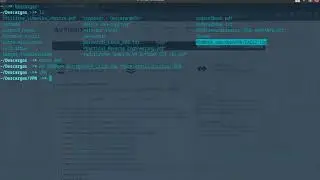 Instalacion de VPN en Manjaro Awesome