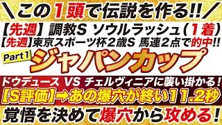 えっ？２強に割って入る？【ジャパンカップ2024予想】ドウデュース VS チェルヴィニアに牙を剥く！この穴馬１頭で伝説を作る!!