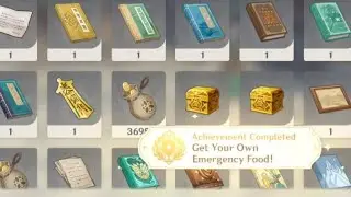 stupid hidden achievements | genshin impact | Get your own emergency food!