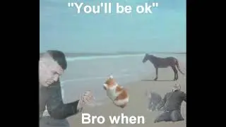 You'll Be Okay - BRO WHEN | #meme #sadness #sadmusic