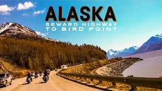 #BirdPoint Alaska