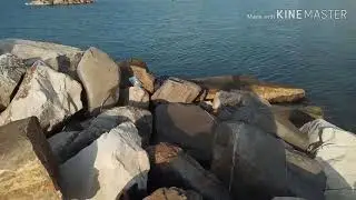 Рыбалка  в Тунисе  с берега/18.08.2019