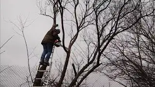 И пошла я лес валить /Хутор на Ставрополье