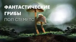 Фантастические Грибы, Пол Стеметс (Paul Stamets). Фильм документальный (2019)
