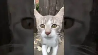 How am I looking 