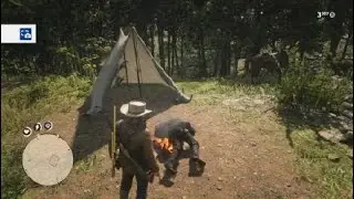 Red Dead Redemption 2_20260310221206