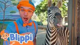 Blippi's learns about animals' routines🦓 | Learn Animals | Educational Videos for Kids