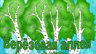 Экологическая тропа. Берёза