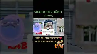 সামাজিক জীব
